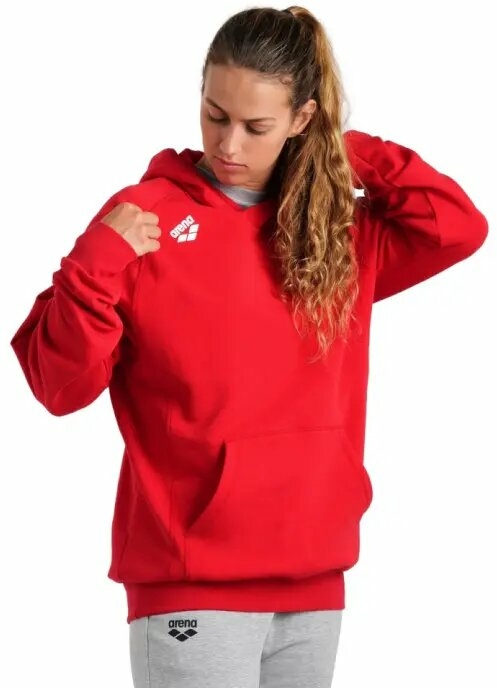 ARENA BLUZA TEAM HOODED SWEAT PANEL