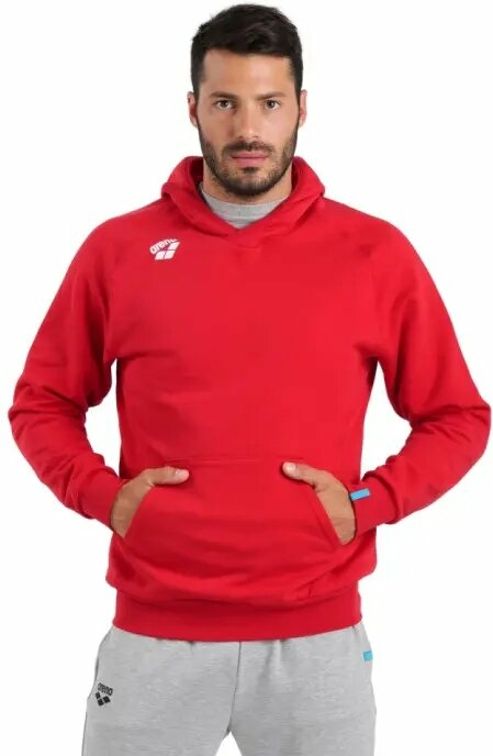 ARENA BLUZA TEAM HOODED SWEAT PANEL