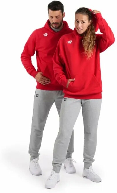 ARENA BLUZA TEAM HOODED SWEAT PANEL