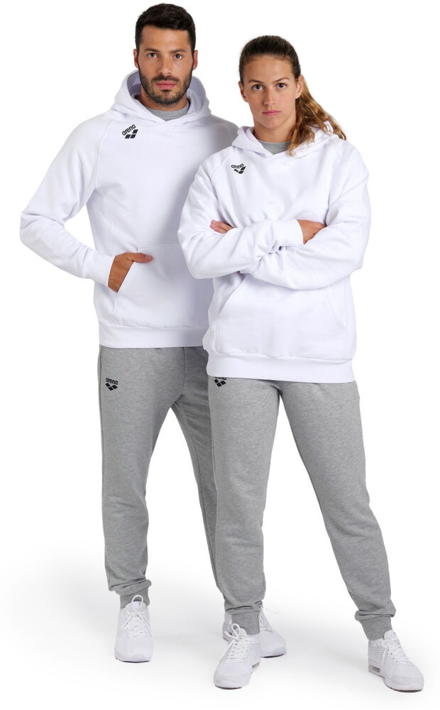 ARENA BLUZA TEAM HOODED SWEAT PANEL