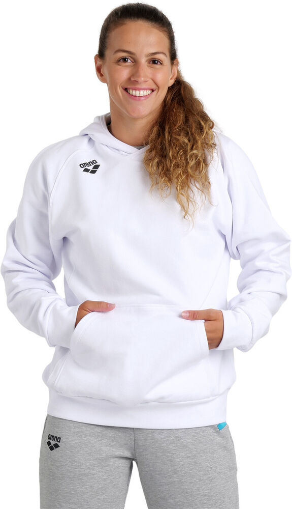 ARENA BLUZA TEAM HOODED SWEAT PANEL